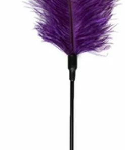 Hete verkoop ? Easytoys Fetish Collection - Paarse Veren Kietelaar - Bondage - Speeltjes - Pinwheel - BDSM - SM - Meesteres - Sado - Dildo - Vibrator - Penis - Buttplug - Sexy - Erotische - Man - Dames ?