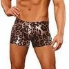 Uitgang ? Merkloos Male Power Leopard Lace Lingerie Voor Mannen Pouch Short S - Bruin ? -Zyba Shop 298x840 3