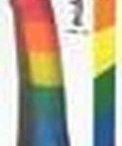 Top 10 ? Pride Dildo - Silicone Rainbow Dildo ⭐ -Zyba Shop 343x840 1