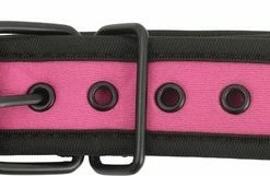 Nieuw ? Banoch - Lindo Collar Rosa Neoprene - Halsband Roze Neopreen - Puppy Play ❤️ -Zyba Shop 550x161
