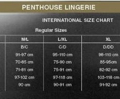 Beste Verkoop ? Penthouse Lingerie Guilty Icon - Erotische Babydoll Met String - Maat S/M - Zwart ? -Zyba Shop 550x205 1