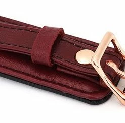 Begroting ? Liebe Seele Wine Red Curved Collar Met Leiband En Slot | Luxe Ontwerp Collar ? -Zyba Shop 550x244
