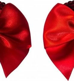 Kopen ? Tepelstickers - Tepelsieraden - Tepelversiering - Nipple Covers - Herbruikbare Stickers - Sexy Tepel Plakker - Party - Burlesque - Blaze - Rood ⌛