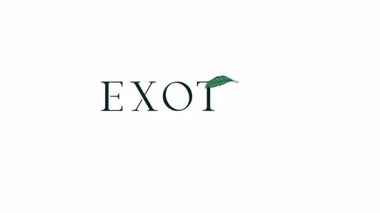 Flash-uitverkoop ? Exotiq Massageolie Apple Lemon – Massageolie Voor Een Ontspannende Massage Met Appel- En Citroengeur – Zijdezacht En Verzorgende Werking – 100 Ml ? 2 Flash-uitverkoop ? Exotiq Massageolie Apple Lemon – Massageolie Voor Een Ontspannende Massage Met Appel- En Citroengeur – Zijdezacht En Verzorgende Werking – 100 Ml ? - Afbeelding 2