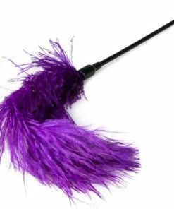 Hete verkoop ? Easytoys Fetish Collection - Paarse Veren Kietelaar - Bondage - Speeltjes - Pinwheel - BDSM - SM - Meesteres - Sado - Dildo - Vibrator - Penis - Buttplug - Sexy - Erotische - Man - Dames ? -Zyba Shop 550x472 3