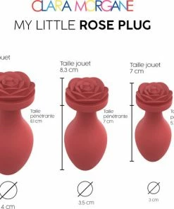 Top 10 ? Clara Morgane - Siliconen Buttplug - Small - Met Roos - Roze ? -Zyba Shop 550x533 7