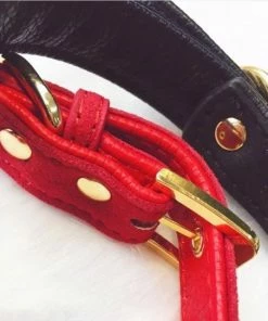 Beste recensies van ✨ New Age Devi Sexy Klinknagel Choker Met Bel - Rood -Alternatieve Metaal Pu Lederen Kraag Bell Slave Kostuum Bdsm Bondage Ketting Nekband Sex Toys ? -Zyba Shop 550x543 4