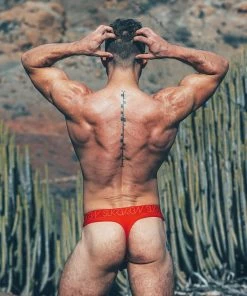 Kopen ? Sukrew U-Style Classic String Crimson - Maat S - Erotische Heren String - Sexy Mannen Ondergoed - Open Voorkant ? -Zyba Shop 550x733 14