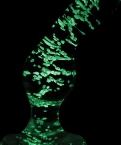 Beste Pirce ✨ Ns Novelties Glazen Prostaatplug Glow In The Dark - Firefly ?
